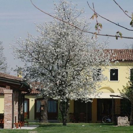 Particolari Del Brenta Apartamento Oriago Di Mira Exterior foto