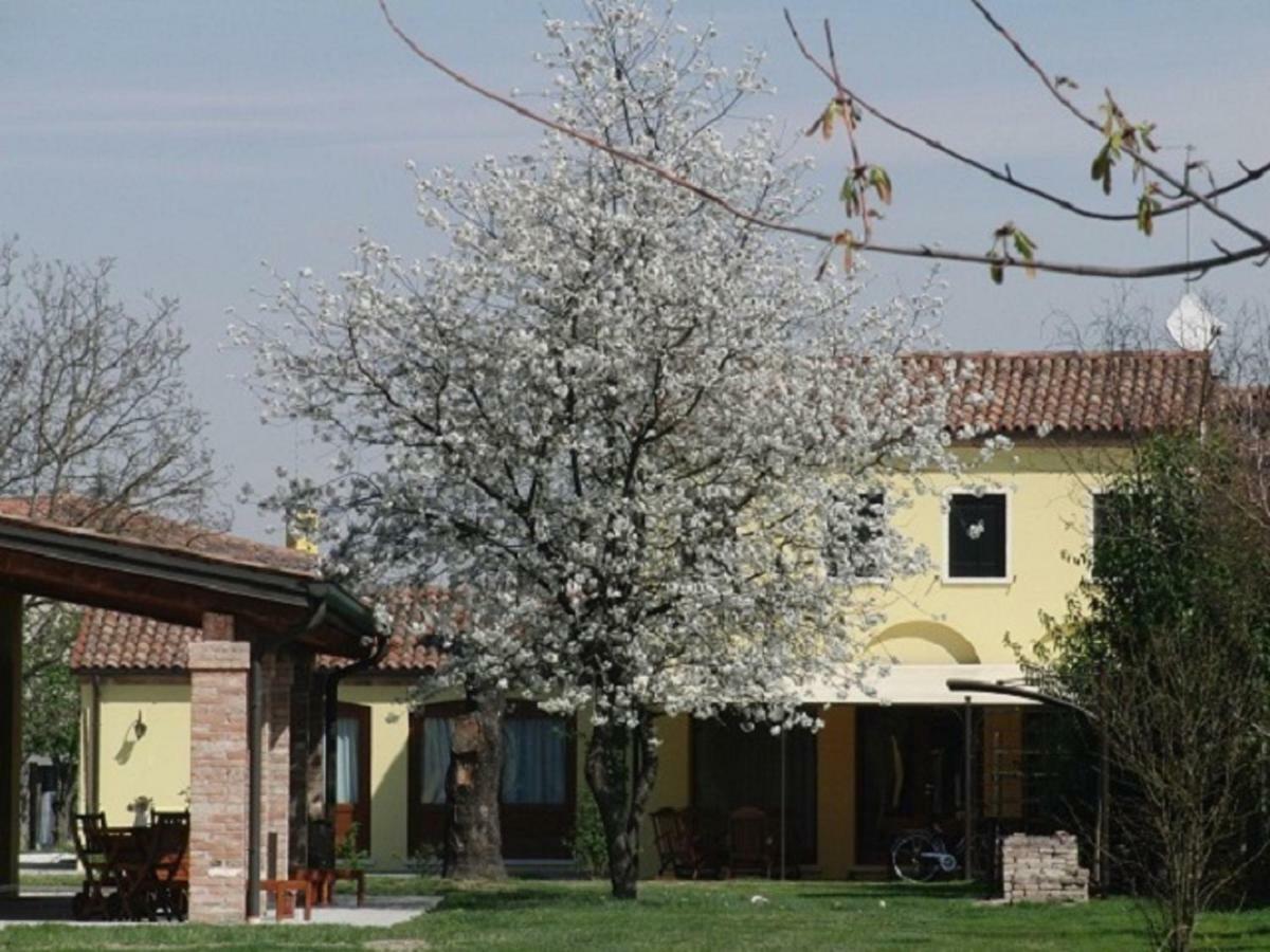 Particolari Del Brenta Apartamento Oriago Di Mira Exterior foto