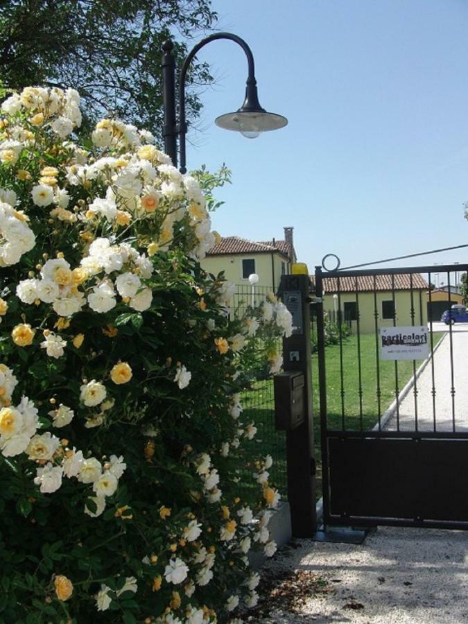 Particolari Del Brenta Apartamento Oriago Di Mira Exterior foto